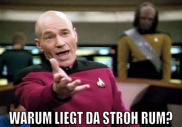 WARUM LIEGT DA stroh rum?