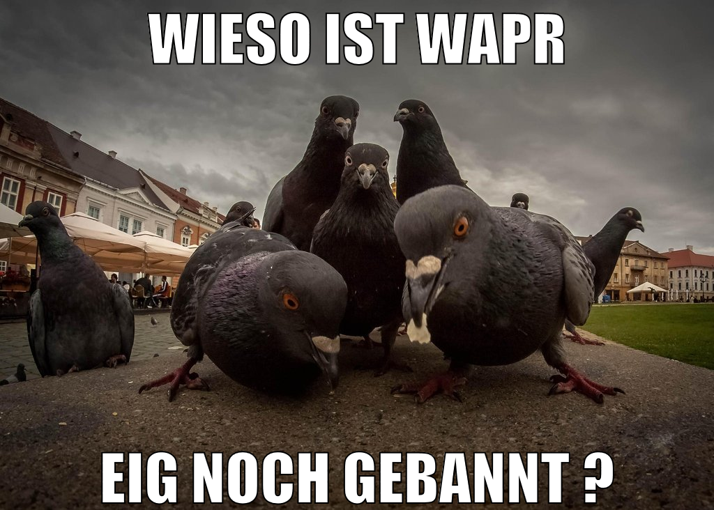 wieso ist wapr eig noch gebannt ?