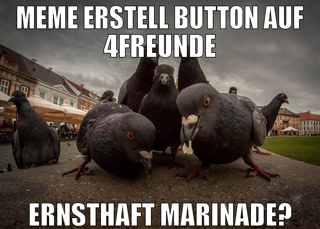 meme erstell button auf 4freunde ernsthaft marinad