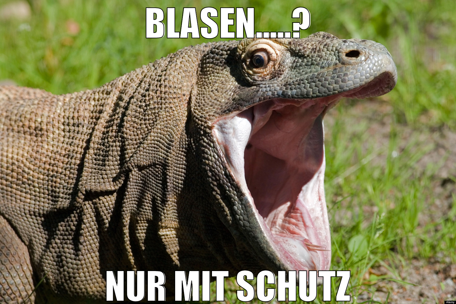Blasen.....? Nur mit Schutz