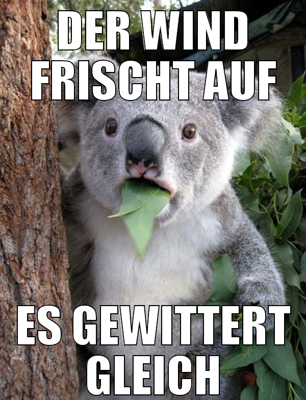 Der Wind Frischt auf Es gewittert gleich