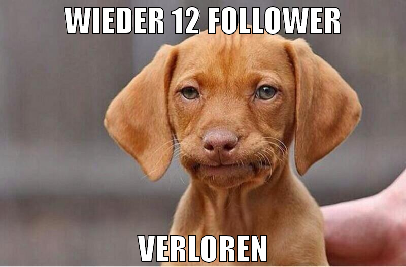 wieder 12 follower verloren