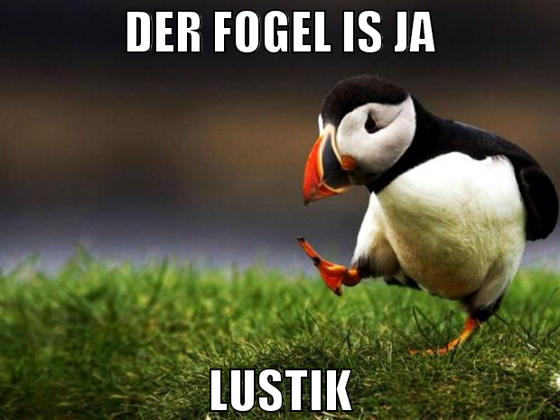 der fogel is ja lustik