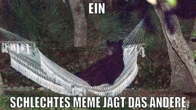 ein  schlechtes meme jagt das andere