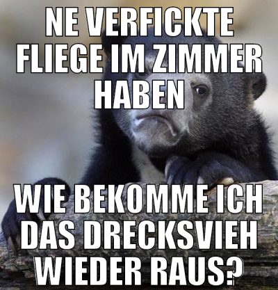 ne verfickte fliege im zimmer haben wie bekomme ic