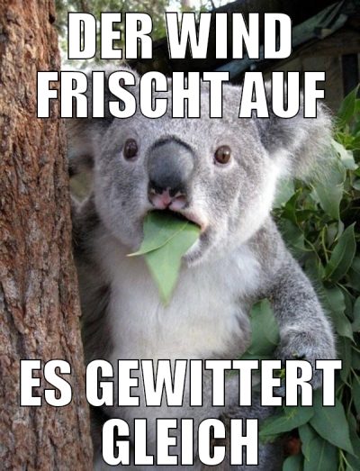 Der Wind Frischt auf Es gewittert gleich