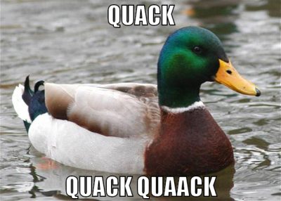 quack quack quaack