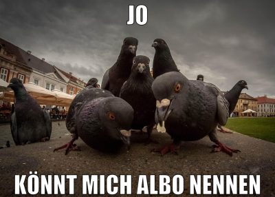 jo könnt mich albo nennen