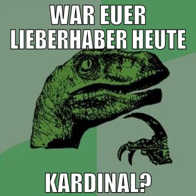 War euer lieberhaber heute Kardinal?
