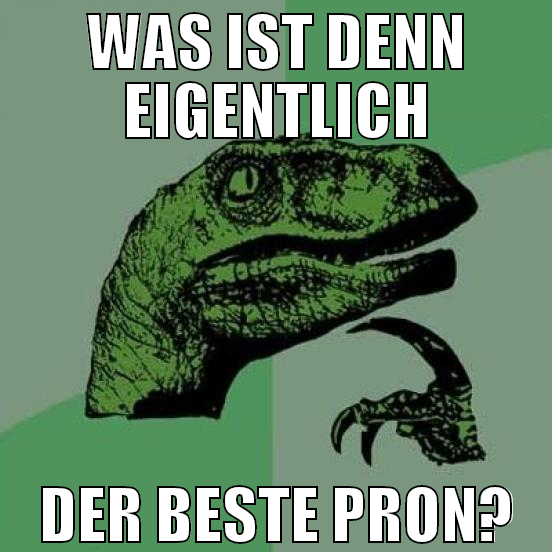 Was ist denn eigentlich der beste pron?