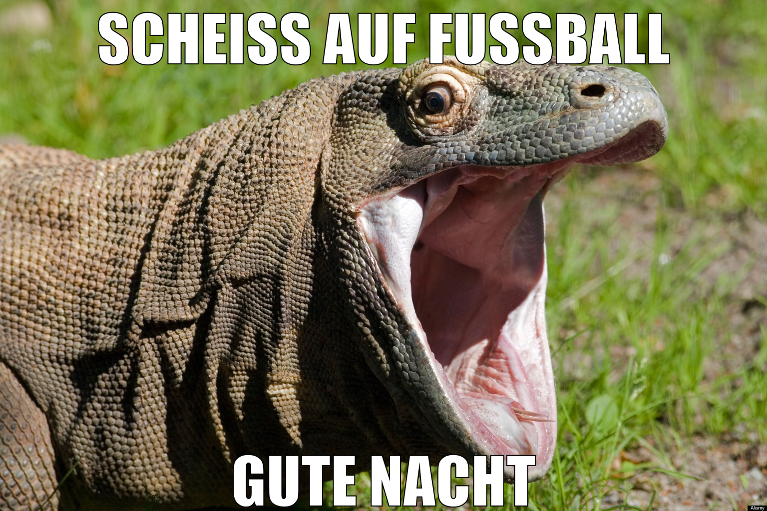 scheiss auf fussball gute nacht