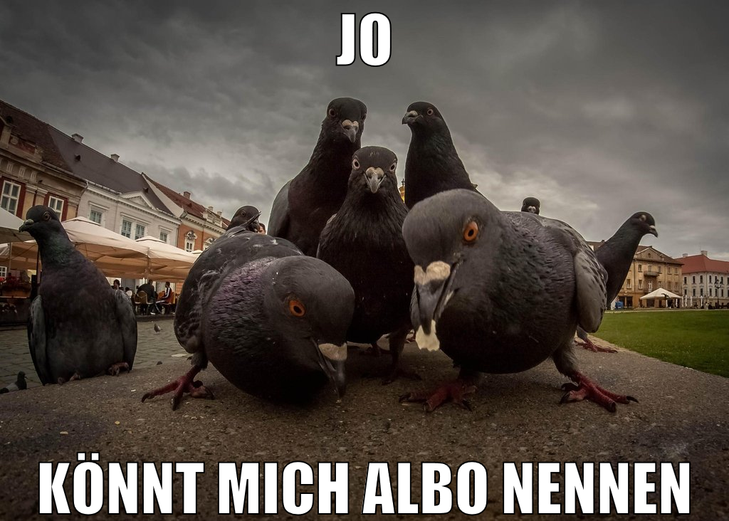 jo könnt mich albo nennen