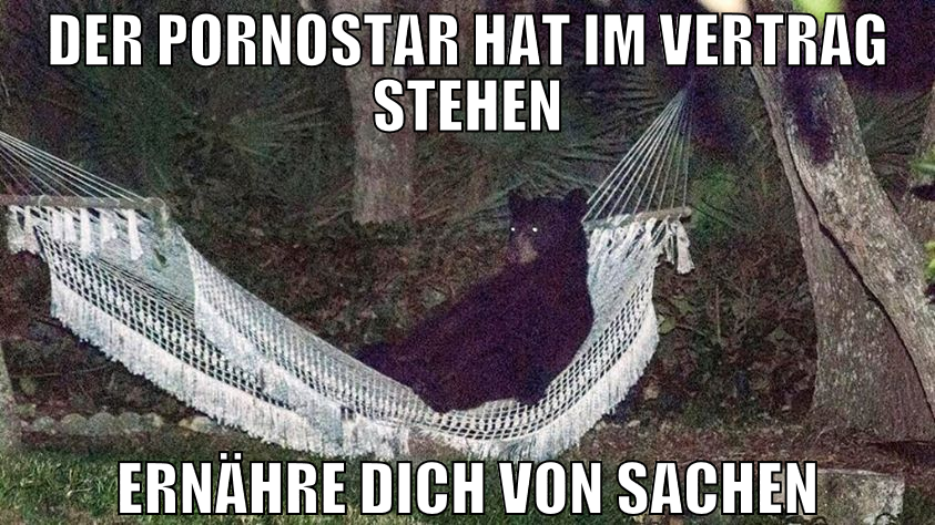 Der Pornostar hat im vertrag stehen ernähre dich v