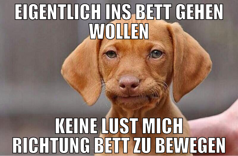 eigentlich ins bett gehen wollen keine lust mich r