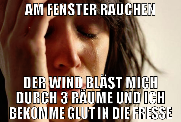 AM FENSTER RAUCHEN DER WIND BLÄST MICH DURCH 3 RÄU
