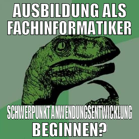 Ausbildung als fachinformatiker Schwerpunkt anwend