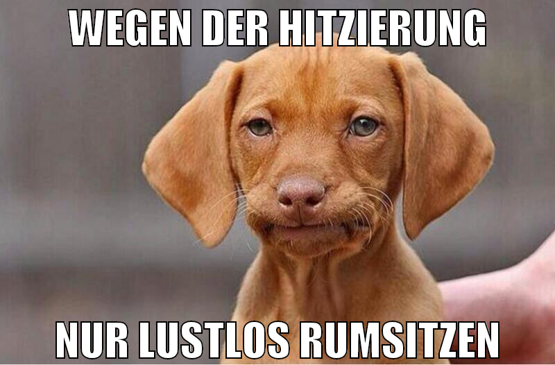WEGEN DER HITZIERUNG NUR LUSTLOS RUMSITZEN