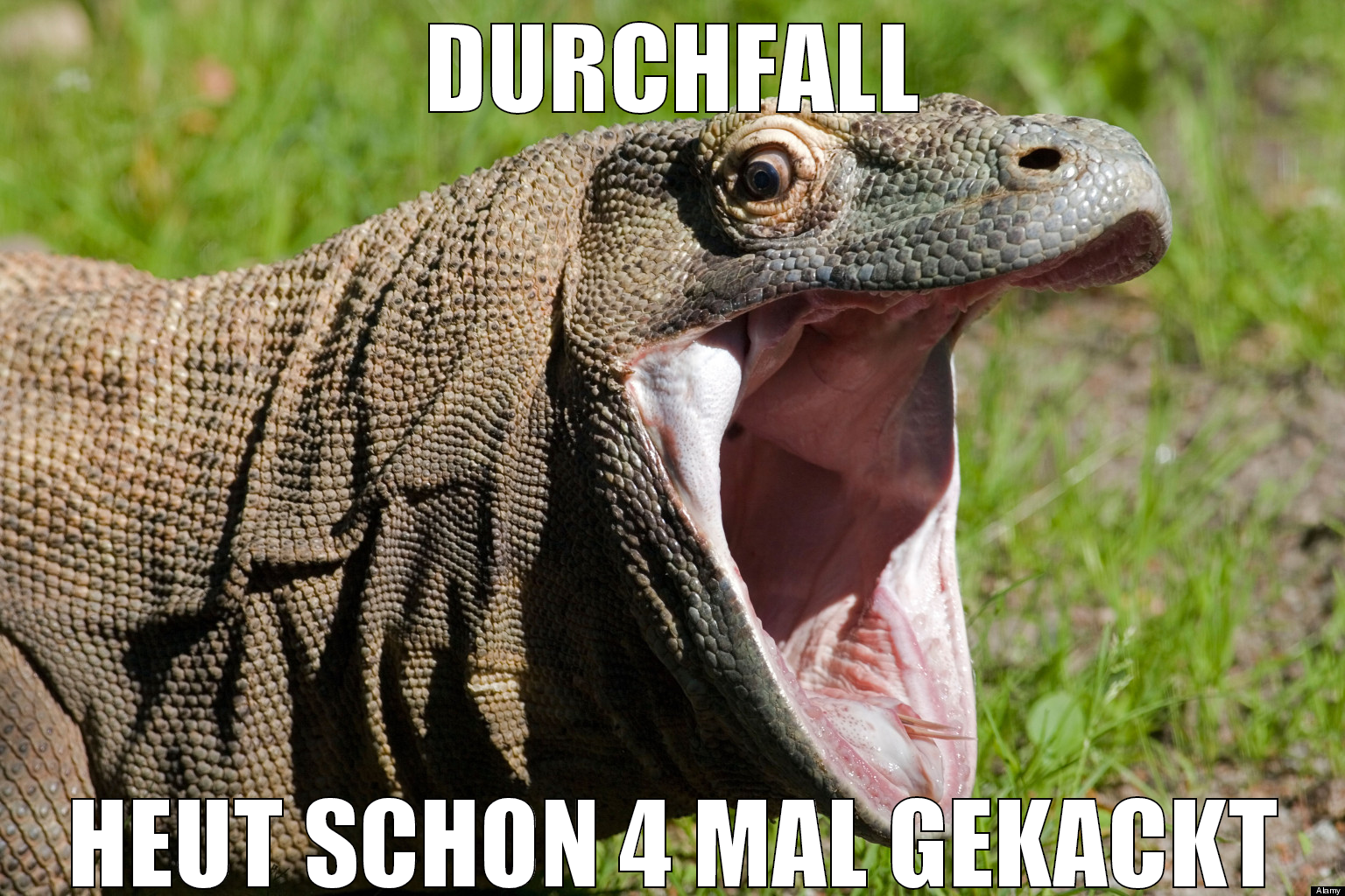 DURCHFALL HEUT SCHON 4 MAL GEKACKT