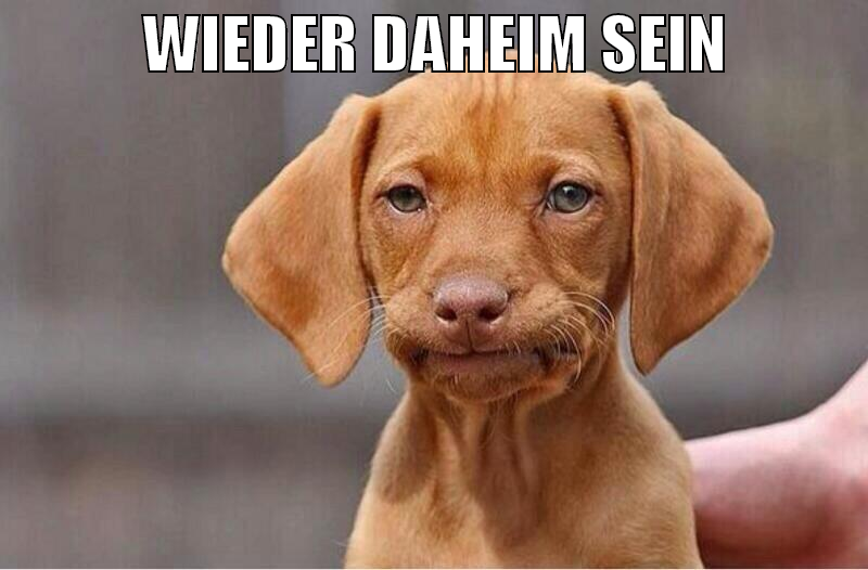 Wieder Daheim sein