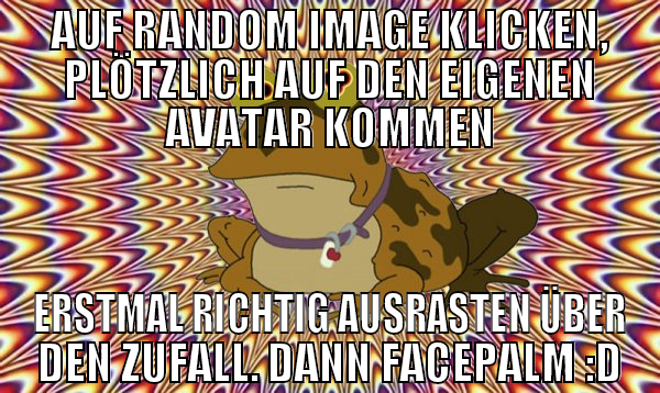 AUF RANDOM IMAGE KLICKEN, PLÖTZLICH AUF DEN EIGENE