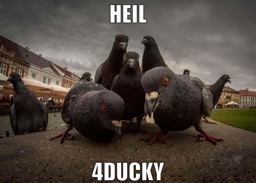 heil 4ducky