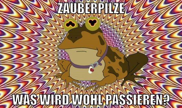 zauberpilze was wird wohl passieren?