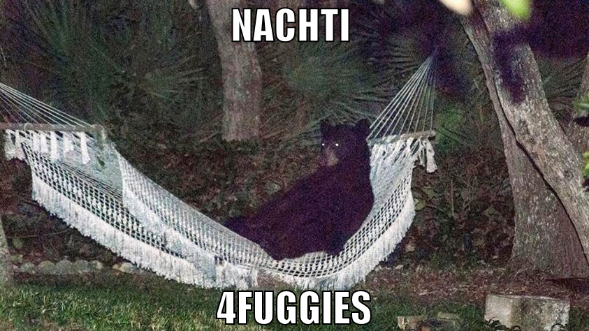 nachti  4fuggies