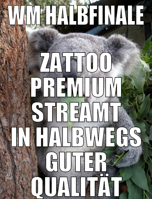 WM HALBFINALE ZATTOO PREMIUM STREAMT IN HALBWEGS G