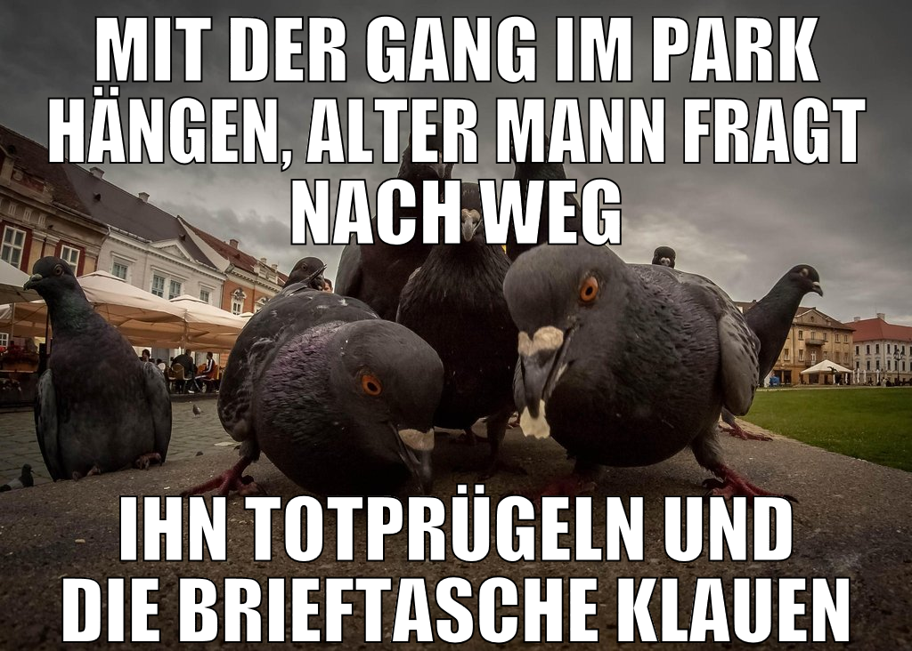 mit der gang im park hängen, alter mann fragt nach