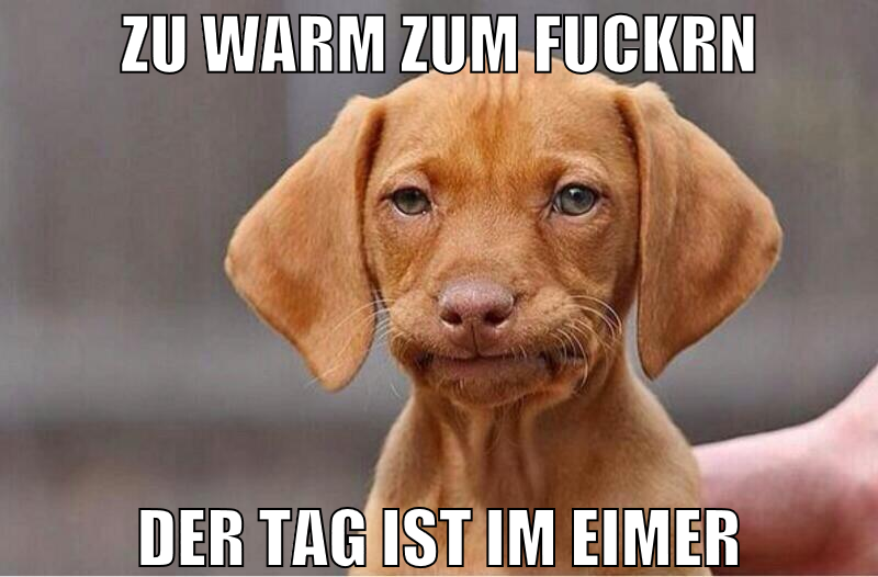 zu warm zum fuckrn der tag ist im eimer