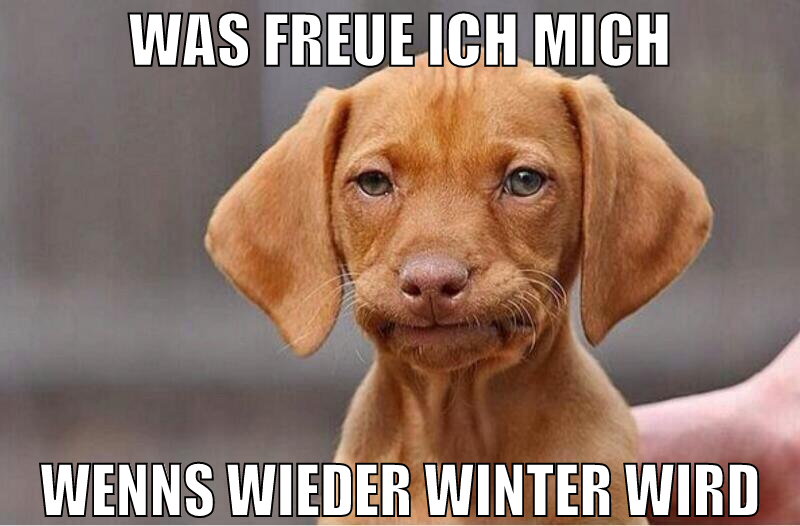 was freue ich mich wenns wieder winter wird