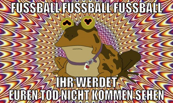 Fussball FUSSBALL FUSSBALL ihr werdet euren Tod ni
