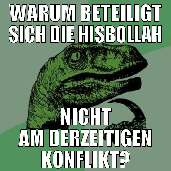 warum beteiligt sich die hisbollah nicht am derzei