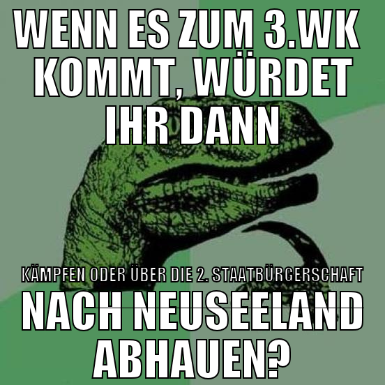 wenn es zum 3.WK kommt, würdet ihr dann kämpfen od