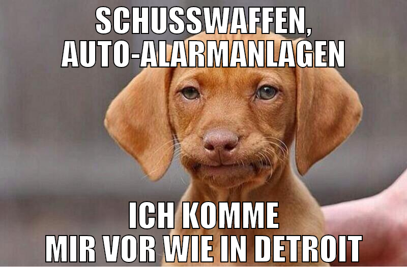 Schusswaffen, Auto-Alarmanlagen Ich komme mir vor