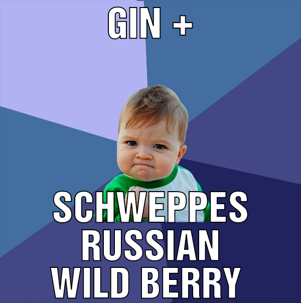 Gin + Schweppes russian wild berry