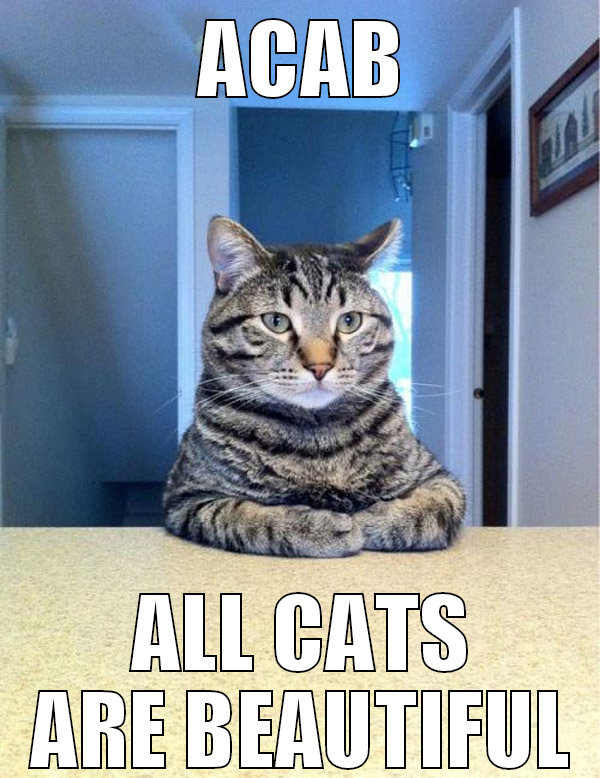 ACAB All Cats are beautiful