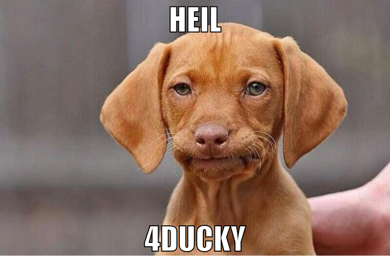 heil 4ducky