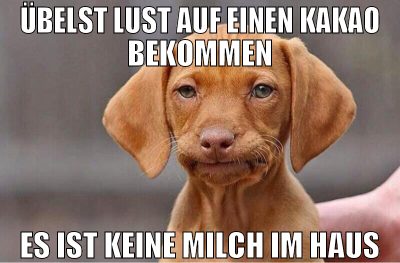 übelst lust auf einen kakao bekommen es ist keine