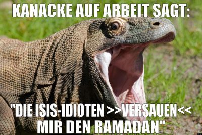 kanacke auf arbeit sagt: "die isis-idioten >>versa