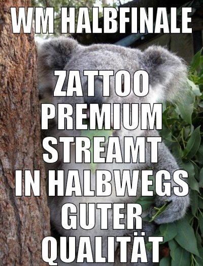 WM HALBFINALE ZATTOO PREMIUM STREAMT IN HALBWEGS G