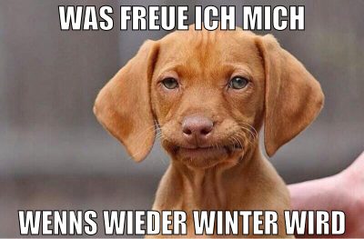 was freue ich mich wenns wieder winter wird
