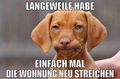 langeweile habe einfach mal die wohnung neu streic