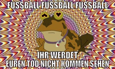 Fussball FUSSBALL FUSSBALL ihr werdet euren Tod ni