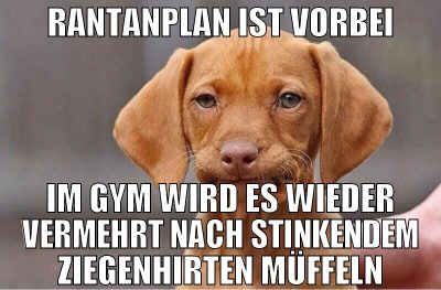 rantanplan ist vorbei im gym wird es wieder vermeh