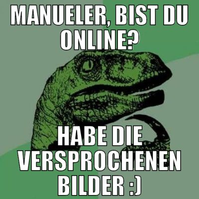 manueler, bist du online? habe die versprochenen b