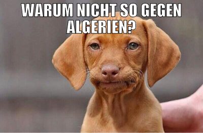WARUM NICHT SO GEGEN ALGERIEN?
