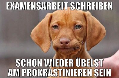 Examensarbeit schreiben Schon wieder übelst am pro