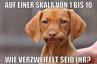 auf einer skala von 1 bis 10 wie verzweifelt seid
