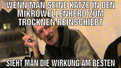Wenn man seine Katze in den Mikrowellenherd zum Tr